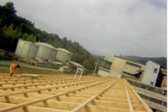 Scan16